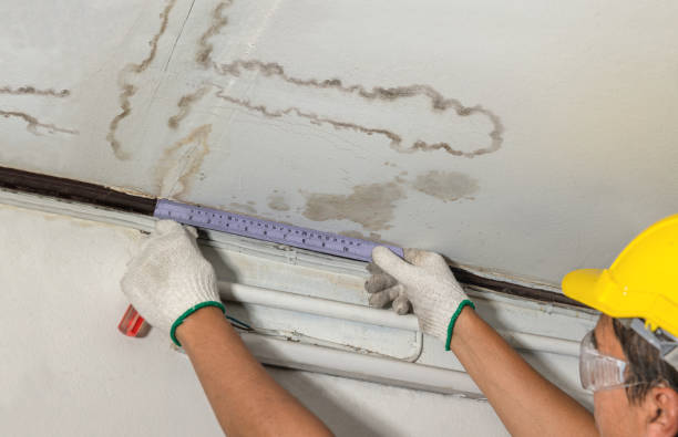 Reliable Basement Water Removal contractor in Gresham, OR by Water Damage Irwin
